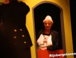 20100321rijsbergstoneeldwazen038