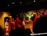 20100321rijsbergstoneeldwazen086