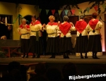 20100321rijsbergstoneeldwazen129