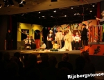 20100321rijsbergstoneeldwazen137