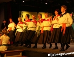 20100321rijsbergstoneeldwazen171
