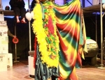 20120315fedjart45
