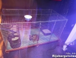20140402toneelrepetitieRT65