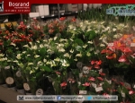 20141113inspirationnightbosrand078