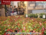 20141113inspirationnightbosrand088