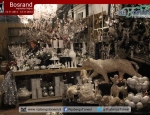 20141113inspirationnightbosrand091