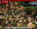 20141113inspirationnightbosrand097