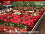 20141113inspirationnightbosrand099