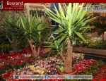 20141113inspirationnightbosrand100
