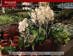 20141113inspirationnightbosrand101