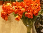 20150318generale111.jpg