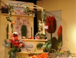 20150318generale117.jpg